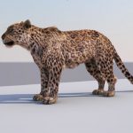 lion 3d model free